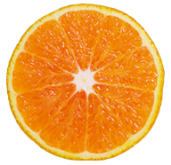 food items